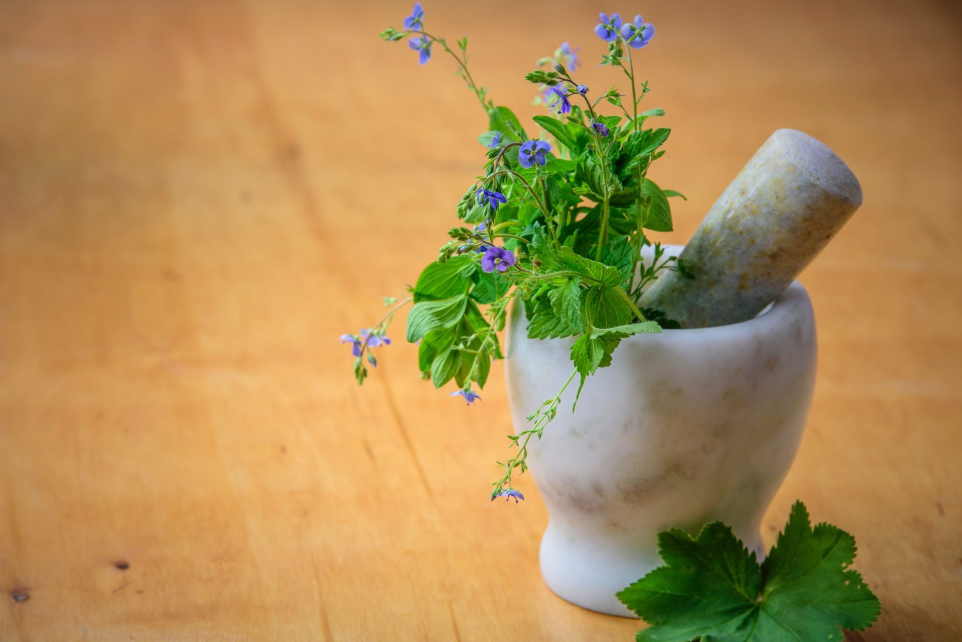 alternative-background-color-cooking-105028