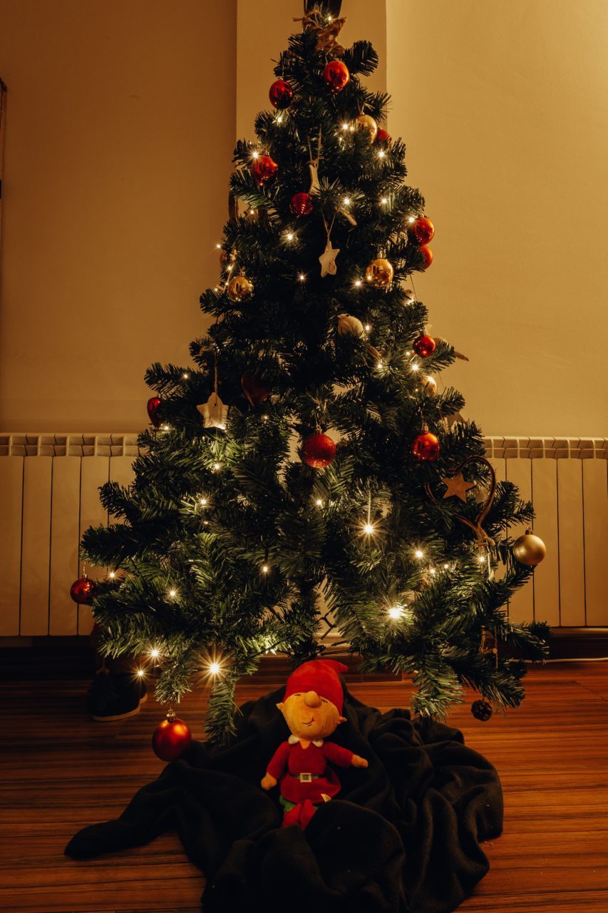 lighted-christmas-tree-in-room-1686975